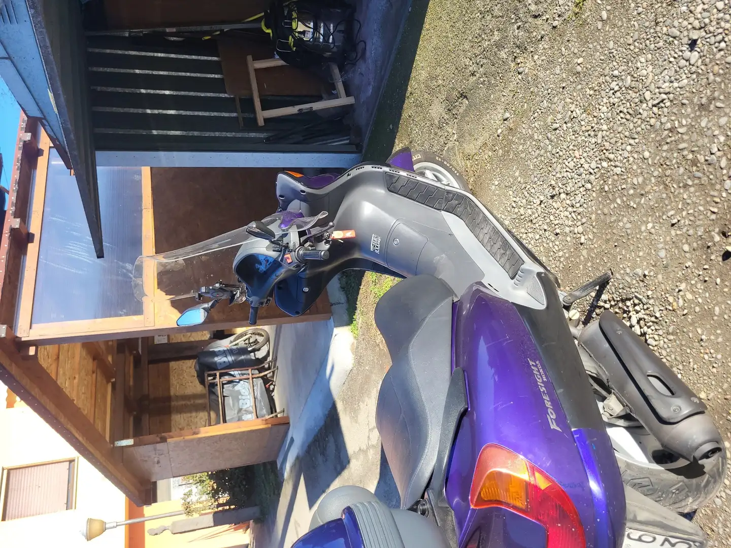 Honda FES 250 Blu/Azzurro - 2