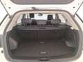 KGM Korando TB 1.5 DREAM 2WD MT MY24 Gris - thumbnail 28