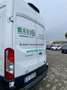 Ford Transit 350 2.0 TDCI 170 CV Bianco - thumbnail 10