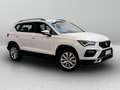 SEAT Ateca 1.5 ecotsi Business 150cv dsg Blanc - thumbnail 6