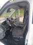Ford Transit FT 300 L2 Van Limited 170 - thumbnail 4