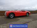 Jaguar XK XK120 OTS Roadster | 1954 | Route 66 Auctions Noir - thumbnail 5
