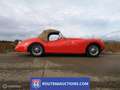 Jaguar XK XK120 OTS Roadster | 1954 | Route 66 Auctions Noir - thumbnail 8