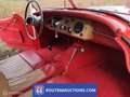 Jaguar XK XK120 OTS Roadster | 1954 | Route 66 Auctions Noir - thumbnail 2