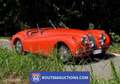 Jaguar XK XK120 OTS Roadster | 1954 | Route 66 Auctions Noir - thumbnail 1