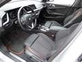 BMW 120 dxDrive LRH LED DAB WLAN PARKING ASSIST. EU6d Ezüst - thumbnail 13