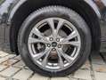 Ford Kuga 2.5 PHEV ST-Line X LED*ACC*HUD*B&O*NAV*SHZ*2xCAM Schwarz - thumbnail 9