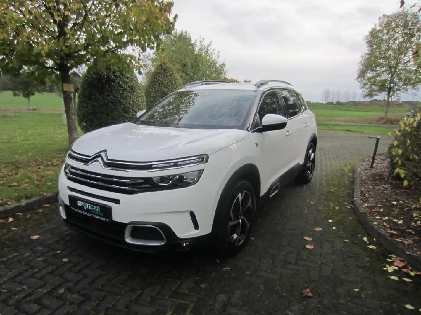 Citroen C5 Aircross C5 Aircross Hybrid Weiß - 1