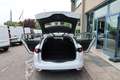Renault Megane Sporter dCi 8V Energy Business Bianco - thumbnail 10