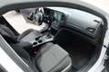Renault Megane Sporter dCi 8V Energy Business Bianco - thumbnail 9
