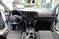 Renault Megane Sporter dCi 8V Energy Business Bianco - thumbnail 7