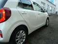 Kia Picanto 1,2 Dream Team 1 Hand Wit - thumbnail 9