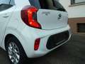 Kia Picanto 1,2 Dream Team 1 Hand Wit - thumbnail 6