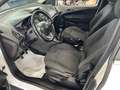 Ford B-Max 1.6 tdci 95cv *NEOPATENTATI* Bianco - thumbnail 12