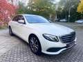 Mercedes-Benz E 350 d Exclusive Navi*Sitzbel.*Widescreen*Ab.Tep Weiß - thumbnail 4