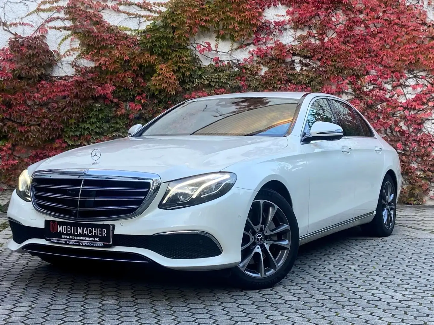 Mercedes-Benz E 350 d Exclusive Navi*Sitzbel.*Widescreen*Ab.Tep Weiß - 1