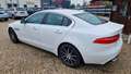 Jaguar XE 20d Prestige Allrad AHK Weiß - thumbnail 5