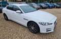 Jaguar XE 20d Prestige Allrad AHK Weiß - thumbnail 3