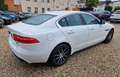 Jaguar XE 20d Prestige Allrad AHK Weiß - thumbnail 4