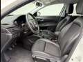 Fiat Tipo 1,6 MultiJet II 120 DIESEL *** S-Design *** Weiß - thumbnail 8