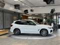 BMW X3 X3 xDrive 20d Aut *Navi*Rückfahrkamera*Sitzheizung Weiß - thumbnail 10