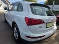 Audi Q5 3.0 TDI 176 kW quattro Weiß - thumbnail 5
