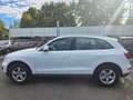 Audi Q5 3.0 TDI 176 kW quattro Weiß - thumbnail 4