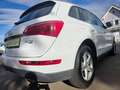 Audi Q5 3.0 TDI 176 kW quattro Weiß - thumbnail 10