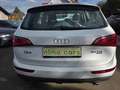Audi Q5 3.0 TDI 176 kW quattro Weiß - thumbnail 8