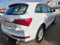 Audi Q5 3.0 TDI 176 kW quattro Weiß - thumbnail 11
