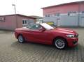 BMW 218 d Advantage LED+SHZ+Tempo+PDC+1.Hand+Euro-6d-TEMP Rosso - thumbnail 5