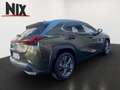 Lexus UX 250h 2.0 Hybrid Executive Line Grün - thumbnail 4