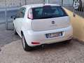 Fiat Punto Evo 5p 1.4 Dynamic easypower Gpl 77cv Bianco - thumbnail 2