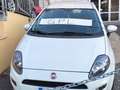 Fiat Punto Evo 5p 1.4 Dynamic easypower Gpl 77cv Bianco - thumbnail 1