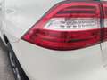 Mercedes-Benz ML 250 bt Sport 4matic auto bijela - thumbnail 6