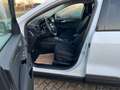 Ford Kuga Plug-In Hybrid Titanium Weiß - thumbnail 9
