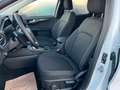 Ford Kuga Plug-In Hybrid Titanium Weiß - thumbnail 10