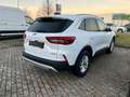 Ford Kuga Plug-In Hybrid Titanium Weiß - thumbnail 6