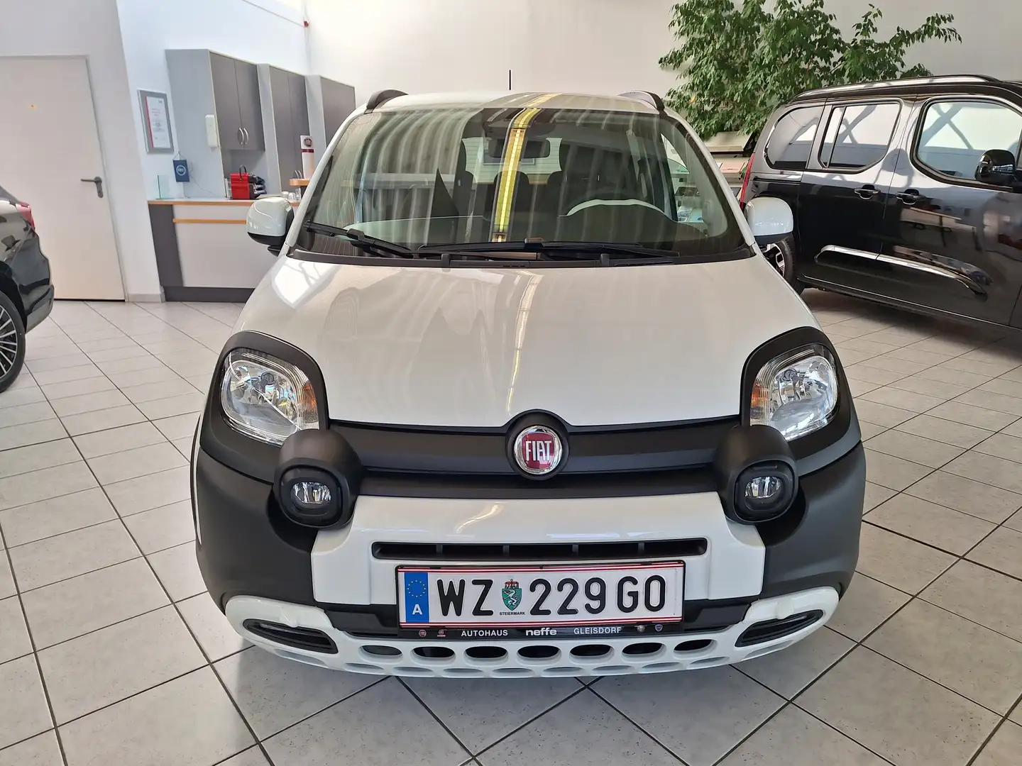 Fiat Panda 4x2 FireFly Hybrid 70 Pandina Weiß - 2