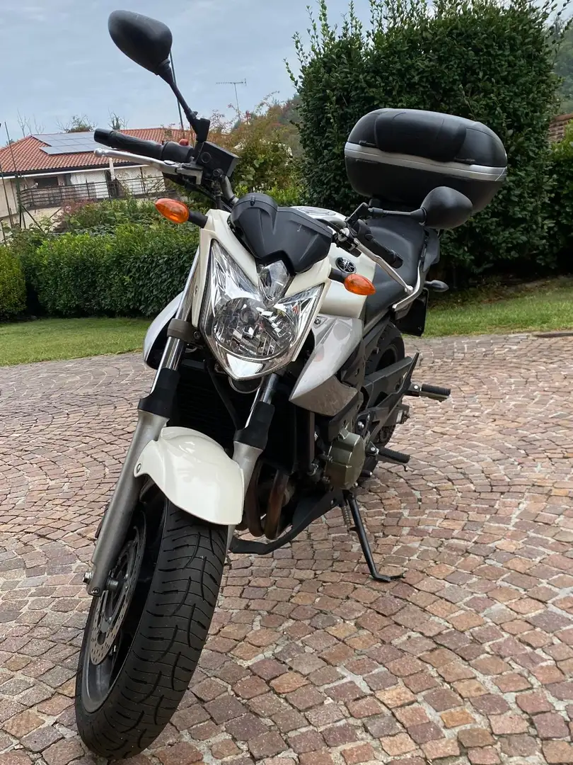 Yamaha XJ 6 Bianco - 2