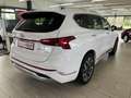 Hyundai SANTA FE Signature 4WD 2.2 CRDi 7-Sitzer Allrad Pano Blanc - thumbnail 5