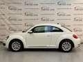Volkswagen Beetle Design BMT KLIMA/SHZ/PTS/TEMPO/8XALU Weiß - thumbnail 2