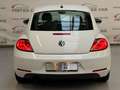 Volkswagen Beetle Design BMT KLIMA/SHZ/PTS/TEMPO/8XALU Weiß - thumbnail 8