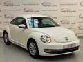 Volkswagen Beetle Design BMT KLIMA/SHZ/PTS/TEMPO/8XALU Weiß - thumbnail 4