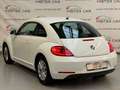 Volkswagen Beetle Design BMT KLIMA/SHZ/PTS/TEMPO/8XALU Weiß - thumbnail 3