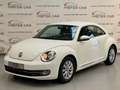 Volkswagen Beetle Design BMT KLIMA/SHZ/PTS/TEMPO/8XALU Weiß - thumbnail 1
