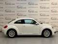Volkswagen Beetle Design BMT KLIMA/SHZ/PTS/TEMPO/8XALU Weiß - thumbnail 5