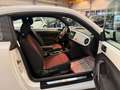 Volkswagen Beetle Design BMT KLIMA/SHZ/PTS/TEMPO/8XALU Weiß - thumbnail 13