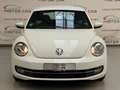 Volkswagen Beetle Design BMT KLIMA/SHZ/PTS/TEMPO/8XALU Weiß - thumbnail 7