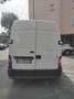Renault Master 35 Q.li ICE Portata Q.li 15,10 Alb - thumbnail 2